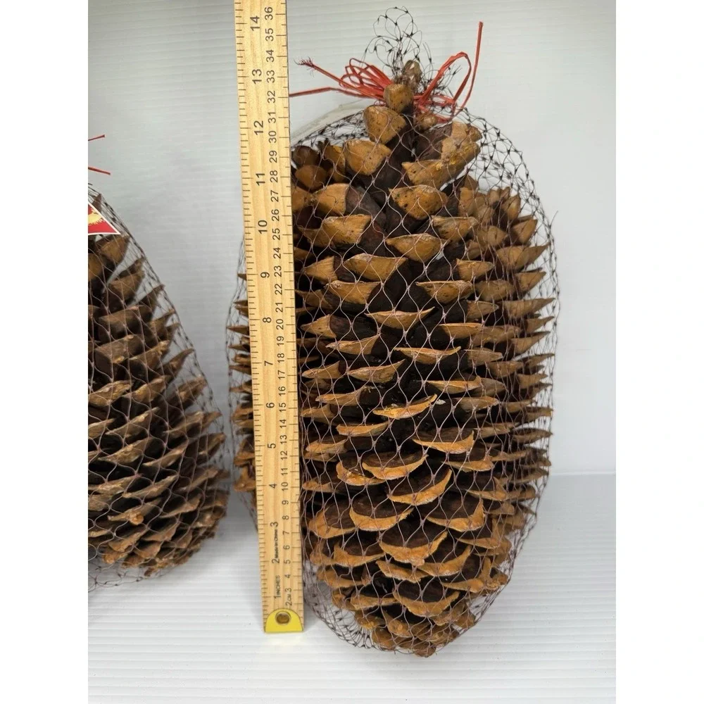 Lot Of 3 Large 13 Inch Sugar Pine Cones New Rooms In Bloom NWT